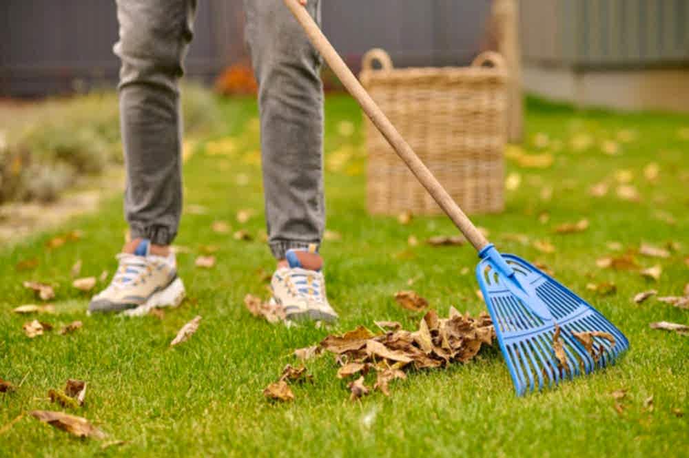 Spring Cleanup Checklist
