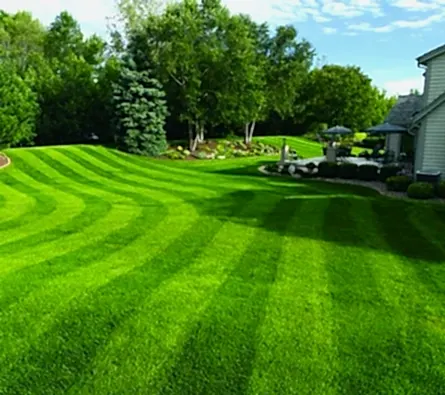 Best Lawn Care Services Near Galena Ohio