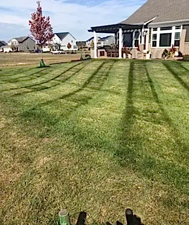Grass Cutting