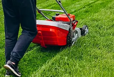 lawn mowing
